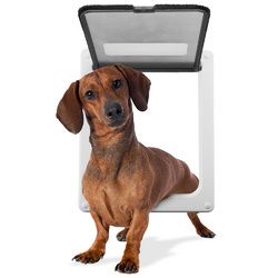 Medium Breed Pet Door with 11" x 9" flap opening