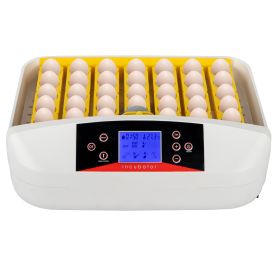 42-Egg Practical Fully Automatic Poultry Incubator with Egg Candler US Standard Yellow & & White & Transparent YF