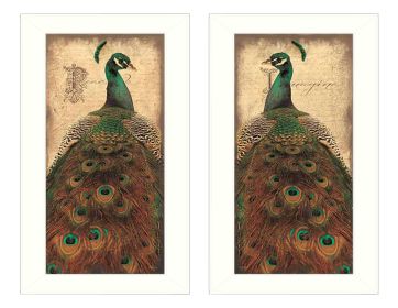 "Peacock Collection" 2-Piece Vignette By John Jones; Printed Wall Art; Ready To Hang Framed Poster; White Frame