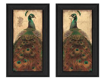 "Peacock Collection" 2-Piece Vignette By John Jones; Printed Wall Art; Ready To Hang Framed Poster; Black Frame