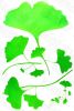 Green World - Wall Decals Stickers Appliques Home Dcor