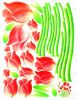 Gentle Tulips - Wall Decals Stickers Appliques Home Dcor